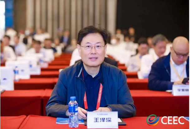 中國化學與物理電源行業協會秘書長王澤深：加強政策導向，推動新型儲能可持續發展